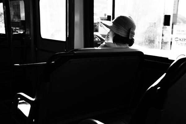 The lady on the bus