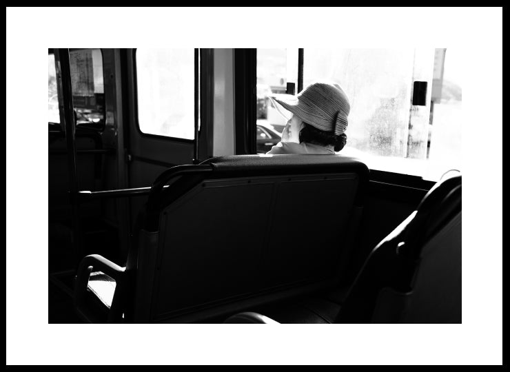 The lady on the bus